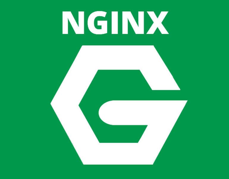 Nginx php-fpm No input file specified