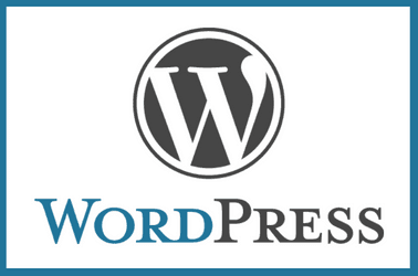 Bitnami WordPress Failed to update Plugin