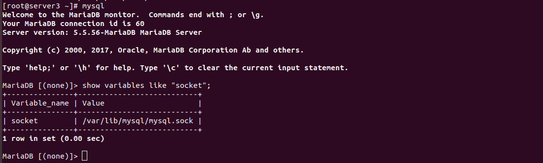 MySQL cannot connect via localhost