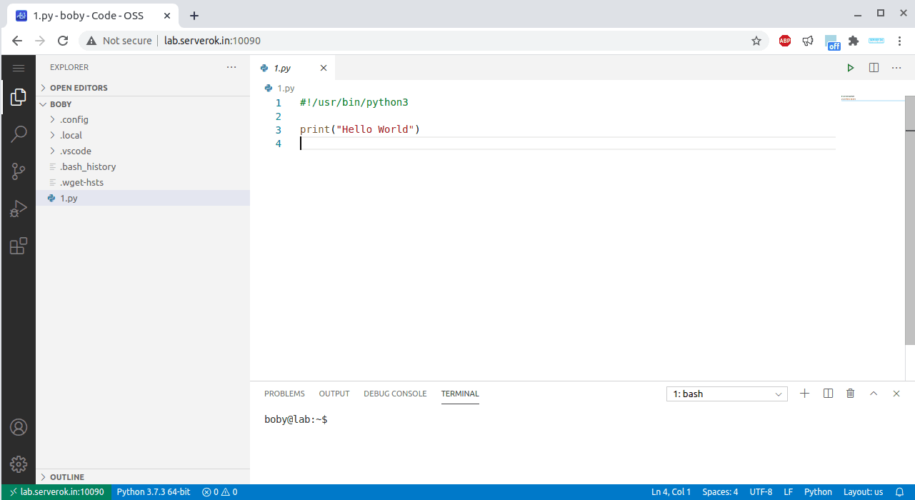 How to Install Visual Studio Code Server