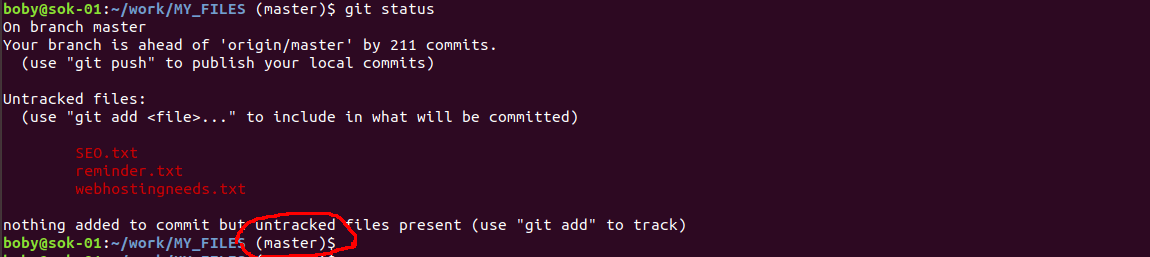 Show git branch in terminal