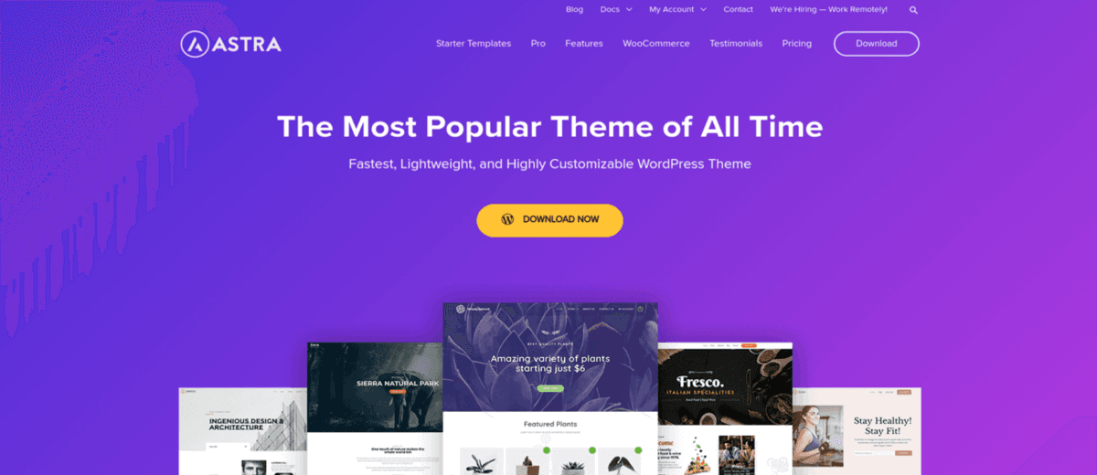 Best WordPress themes in 2021